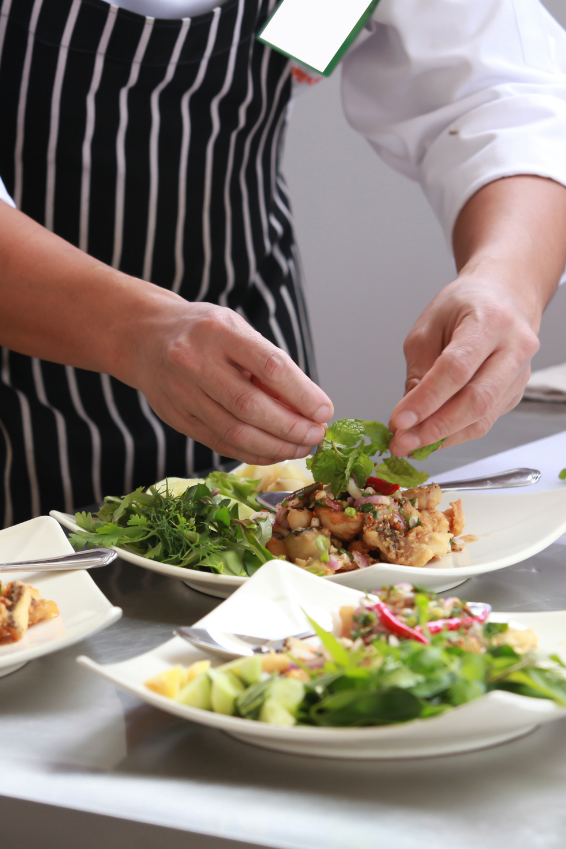 Professional Kitchen and Restaurant Equipments